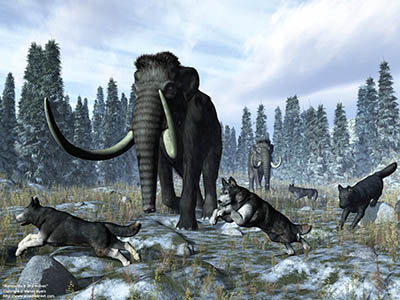 Mammoths & dire wolves, 150 thousand years ago