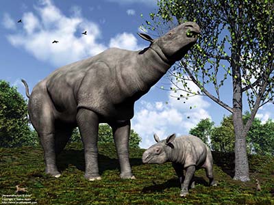 Paraceratherium and child, 30 million years ago