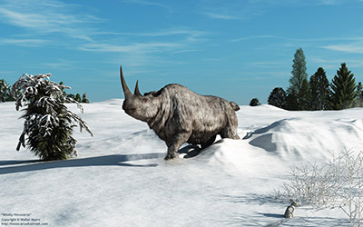 Woolly rhinoceros, 200 thousand years ago