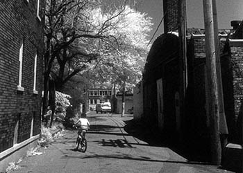 Bicycle & utility poles   -   Oak Park, IL, 1982   -   Kodak infrared black & white 35mm film