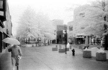 Rainy day at Oak Park Mall   -   Oak Park, IL, 1982   -   Kodak infrared black & white 35mm film