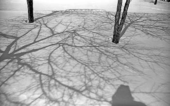 Snow shadows No. 4   -   River Grove, IL, 1982   -   Kodak Panatomic-X black & white 35mm film