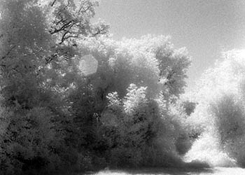 Artificium   -   Oak Park, IL, 1982   -   Kodak infrared black & white 35mm film
