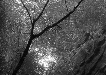 Carbondale gorge No. 2   -   Carbondale, IL, 1986   -   Kodak infrared black & white 35mm film