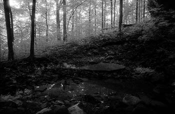 Carbondale gorge No. 7   -   Carbondale, IL, 1986   -   Kodak infrared black & white 35mm film