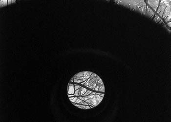 Trees & binoculars No. 3   -   Oak Park, IL, 1983   -   Kodak infrared black & white 35mm film
