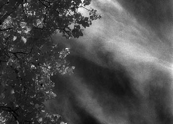 Trees & clouds No. 3   -   Oak Park, IL, 1982   -   Kodak infrared black & white 35mm film