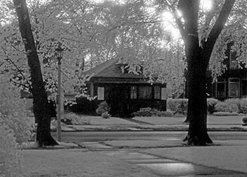 Trees courtyard sidewalk   -   Oak Park, IL, 1983   -   Kodak infrared black & white 35mm film