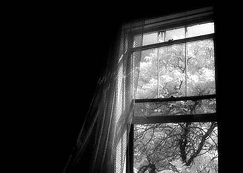 Trees thru a window   -   Oak Park, IL, 1982   -   Kodak infrared black & white 35mm film