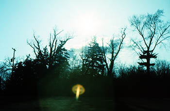 Trees with lens flare   -   Oak Park, IL, 1983   -   Kodak Ektachrome 35mm color slide film