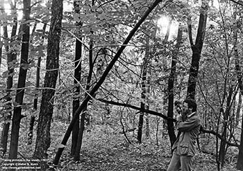 Taking pictures in the woods, 1983   -   Oak Park, IL   -   Kodak Tri-X 35mm film