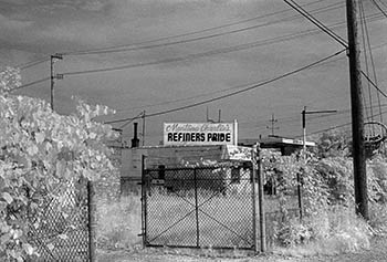 Refiners Pride   -   Forest Park, IL, 1982   -   Kodak infrared black & white 35mm film