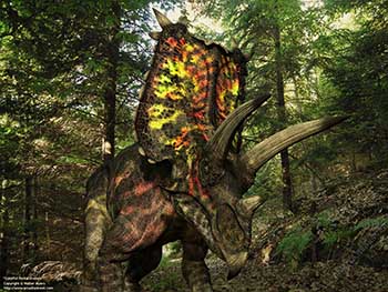 Colorful Pentaceratops, 75 million years ago