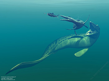 Cretaceous marine predators II, 75 million years ago