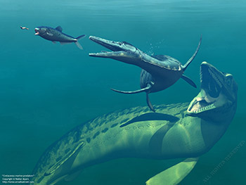 Cretaceous marine predators, 75 million years ago