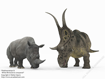 Diabloceratops & White Rhinoceros, 70 million years ago