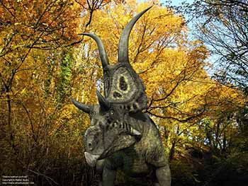 Diabloceratops portrait, 70 million years ago