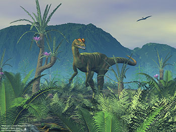 Dilophosaurus amidst Williamsonia No. 2, 180 million years ago
