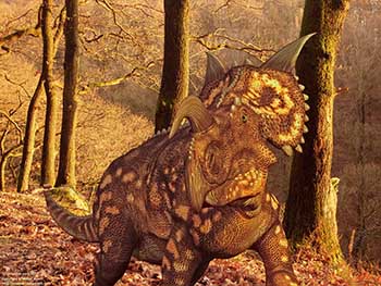 Einiosaurus portrait, 72 million years ago