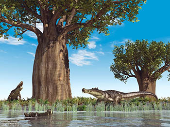 Kaprosuchus & baobab, 95 million years ago