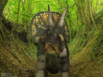 Nedoceratops portrait, 70 million years ago