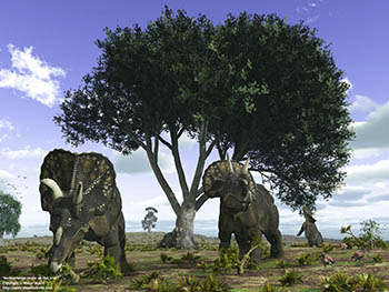 Nedoceratops under oak tree, 70 million years ago
