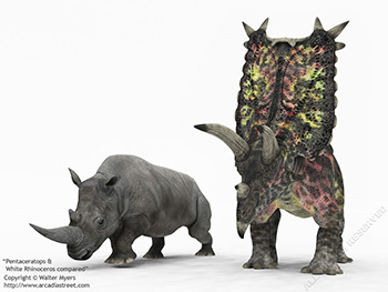 Pentaceratops & White Rhinoceros, 75 million years ago