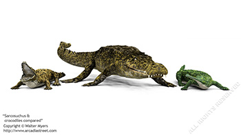 Sarcosuchus & crocodiles, 110 million years ago