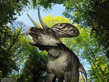 Zuniceratops portrait, 90 million years ago
