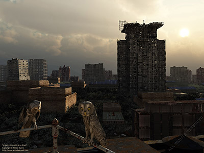 Urban ruins with Grey Owls, 2120 A.D.