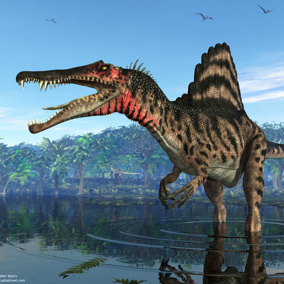 Spinosaurus (from History of Earth - Mesozoic Era)
