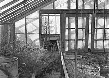 Abandoned greenhouse   -   Oak Park, IL, 1983   -   Kodak Plus-X black & white 35mm film