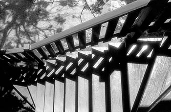 Back stairs No. 1   -   Oak Park, IL, 1982   -   Kodak infrared black & white 35mm film