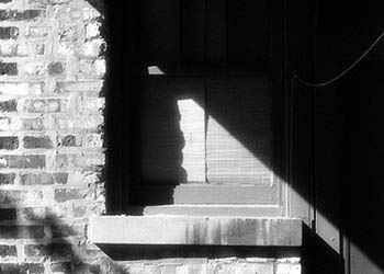 Back window   -   Oak Park, IL, 1982   -   Kodak infrared black & white 35mm film