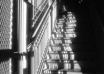 Chicago el platform stairs   -   Chicago, 1985   -   Kodak infrared black & white 35mm film