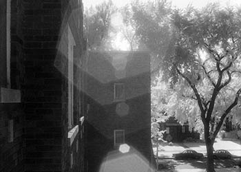 Lens flare hexagons   -   Oak Park, IL, 1982   -   Kodak infrared black & white 35mm film
