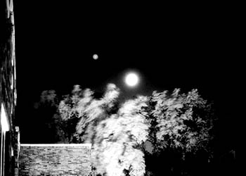 Moon & Venus No. 1   -   Oak Park, IL, 1983   -   Kodak infrared black & white 35mm film