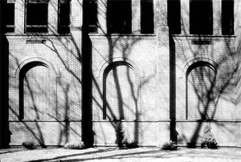 Shadows on arches   -   Chicago, 1984   -   Kodak infrared black & white 35mm film