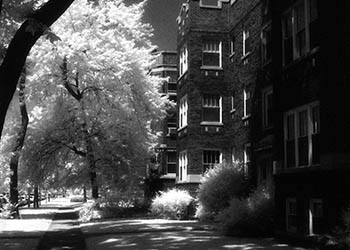 Shadowy sidewalk   -   Oak Park, IL, 1982   -   Kodak infrared black & white 35mm film