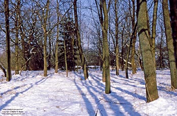 Snow shadows perspective   -   Adrian, MI, early 1980s   -   Kodak Ektachrome 35mm color slide film