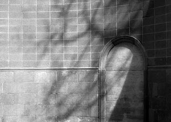 Tree shadows on stone wall No. 1   -   Des Plaines, IL, 1983   -   Kodak infrared black & white 35mm film