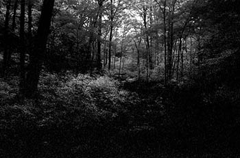Carbondale gorge No. 11   -   Carbondale, IL, 1986   -   Kodak infrared black & white 35mm film