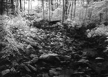 Carbondale gorge No. 5   -   Carbondale, IL, 1986   -   Kodak infrared black & white 35mm film