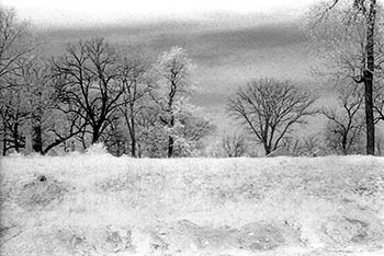 Cemetery berm   -   Des Plaines, IL, 1983   -   Kodak infrared black & white 35mm film