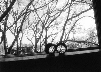 Trees & binoculars No. 1   -   Oak Park, IL, 1983   -   Kodak infrared black & white 35mm film