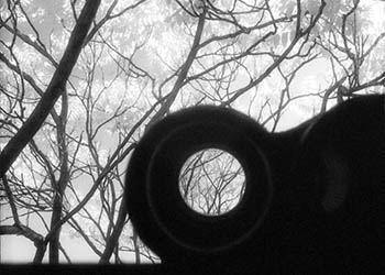 Trees & binoculars No. 2   -   Oak Park, IL, 1983   -   Kodak infrared black & white 35mm film