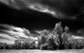 Trees & clouds No. 1   -   Oak Park, IL, 1982   -   Kodak infrared black & white 35mm film