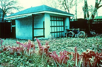 Garage & bicycle   -   Oak Park, IL, early 1980s   -   Kodak Ektachrome Infrared 35mm color slide film