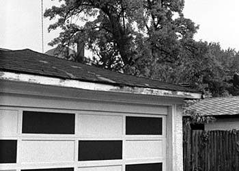Garage door No. 2   -   Oak Park, IL, 1983   -   Kodak Tri-X black & white 35mm film