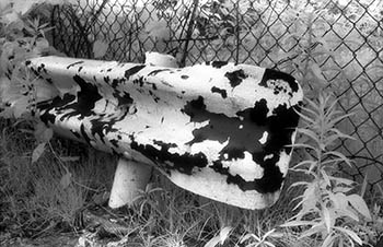 Guard rail   -   Forest Park, IL, 1982   -   Kodak infrared black & white 35mm film